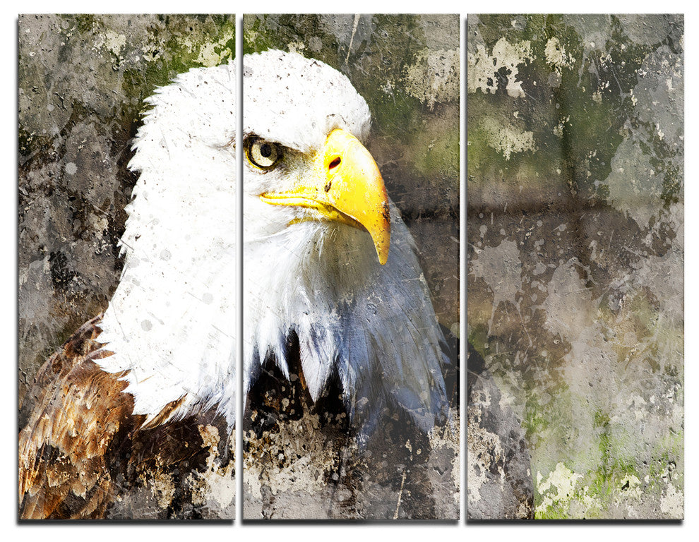 "Eagle Head With Textures" Digital Metal Wall Art, 3 Panels, 36"x28"