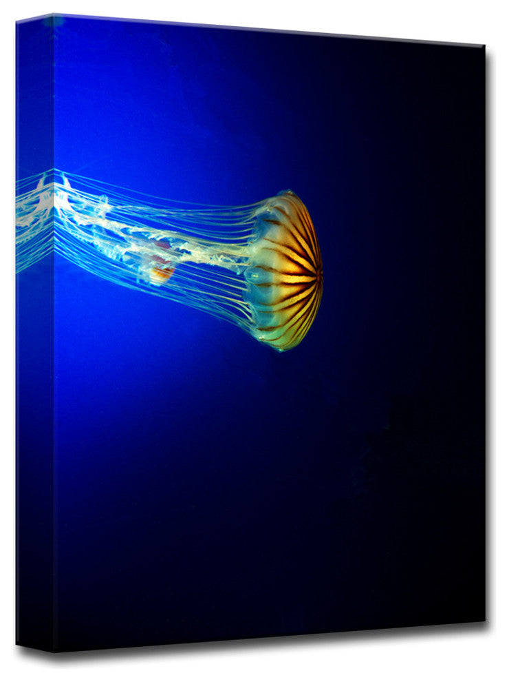 Ready2HangArt 'Iridescent Jelly' by Christopher Doherty