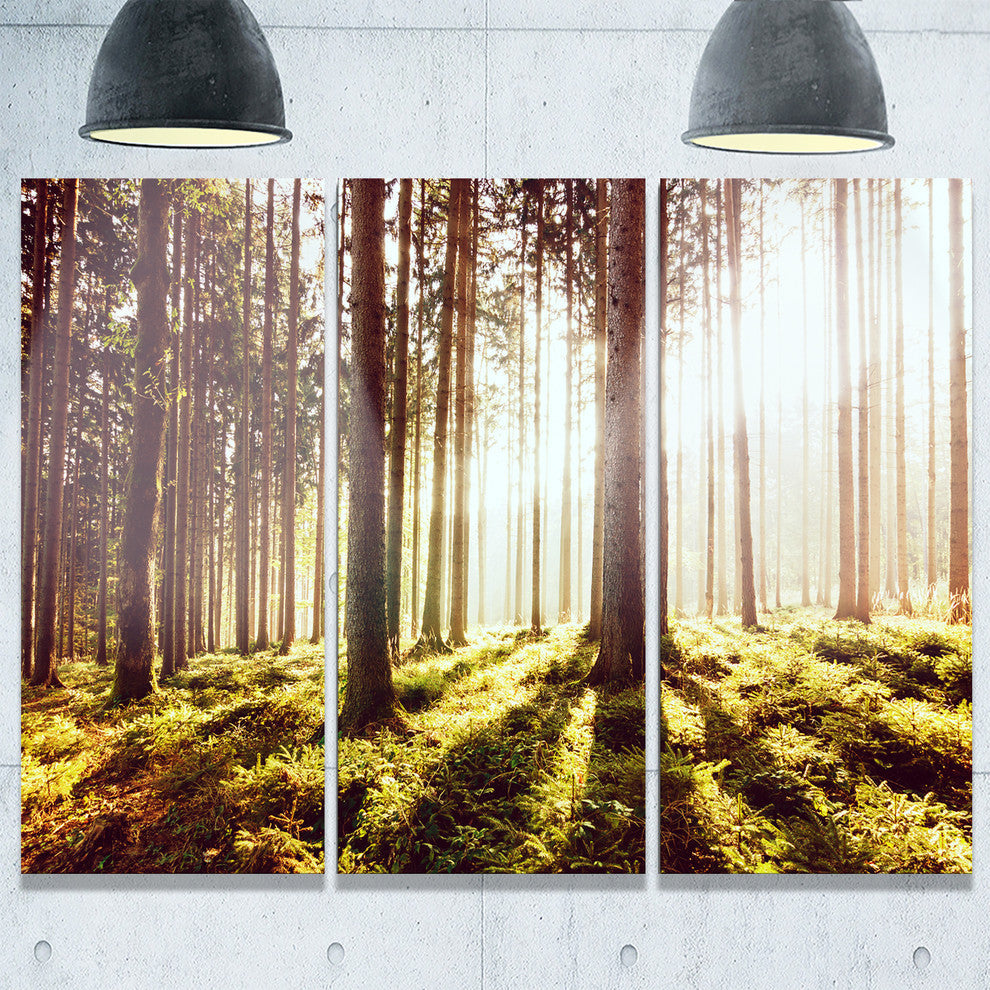 "Early Morning Shadows of Forest" Forest Metal Wall Art, 3 Panels, 36"x28"