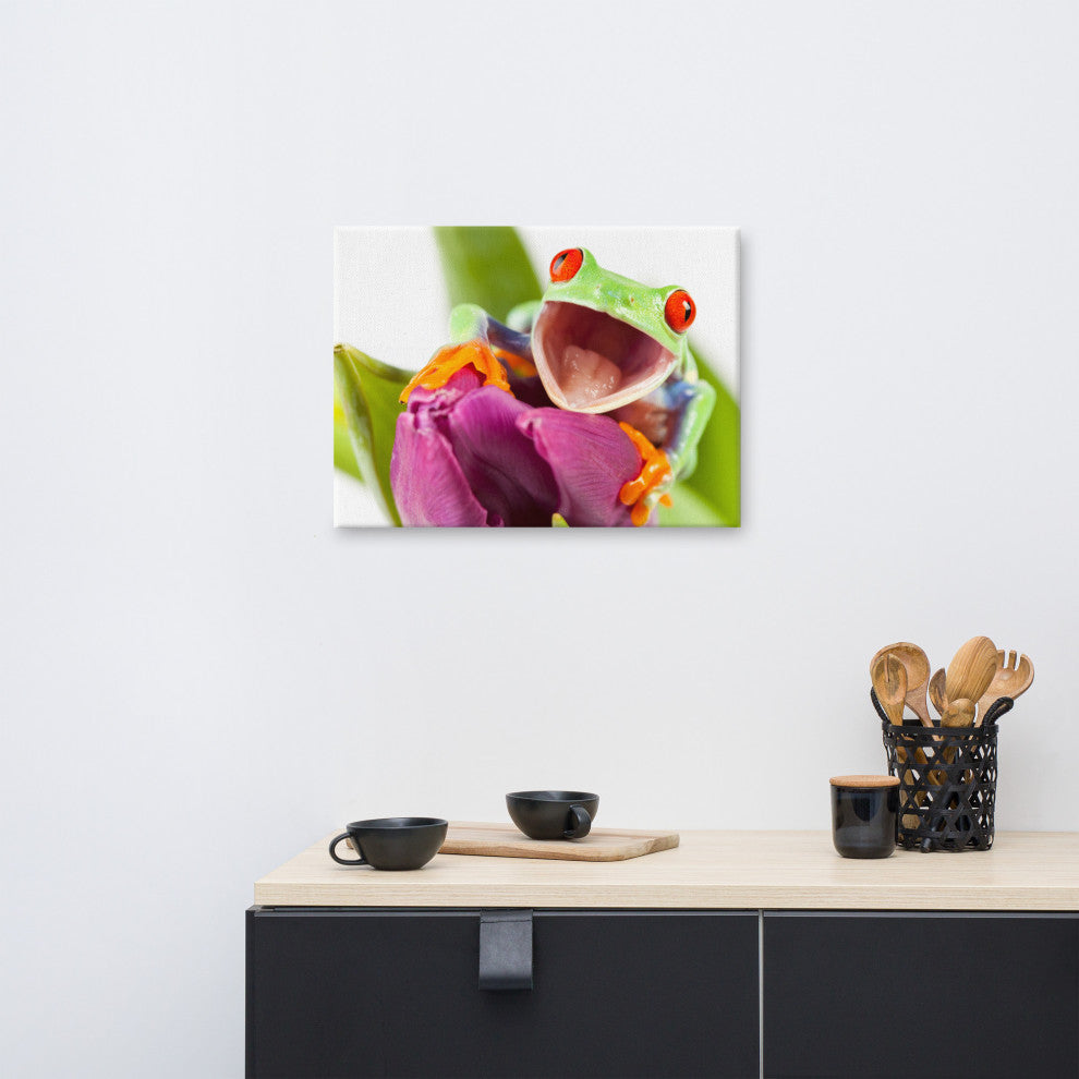 Red Eyed Tree Frog on Purple Tulip Flower Wildlife Photo Canvas Wall Art Print, 18" X 24"