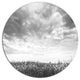 Rapeseed Garden In Black And White, Landscape Disc Metal Wall Art, 36"