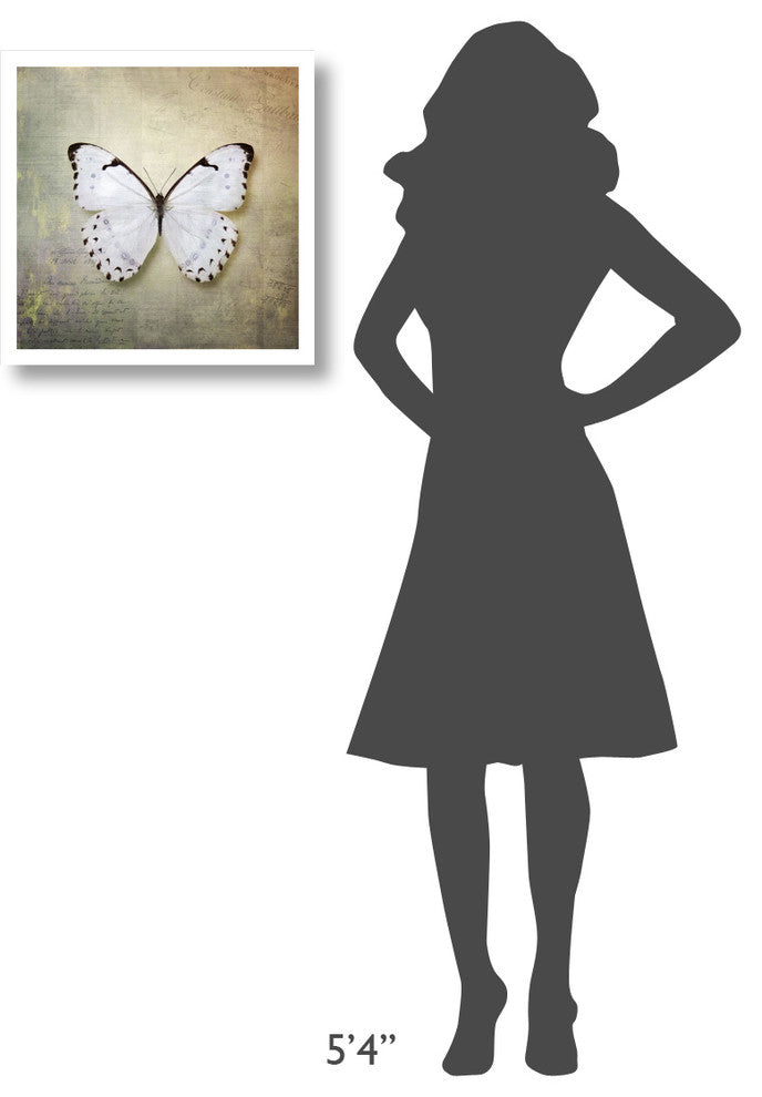 "French Butterfly II" Digital Paper Print by Debra Van Swearingen, 20"x20"