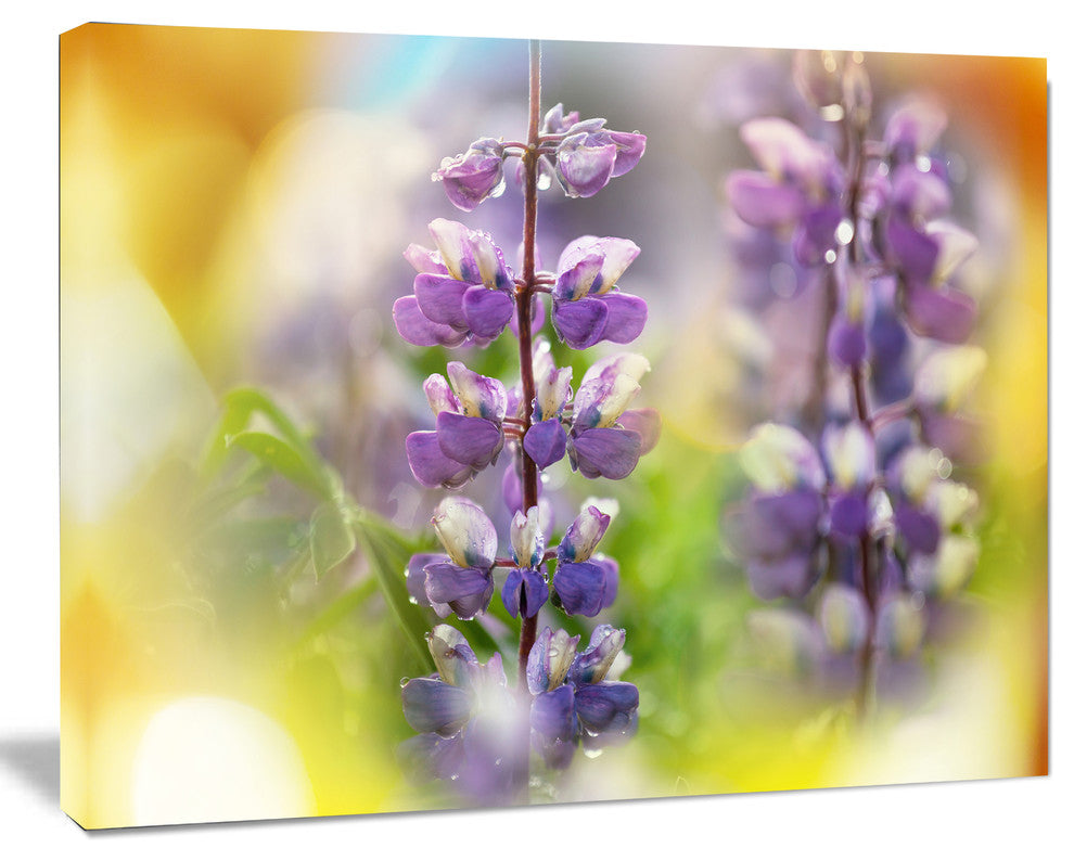 Beautiful Blue Lupin Flowers, Large Flower Canvas Art Print, 40"x30"