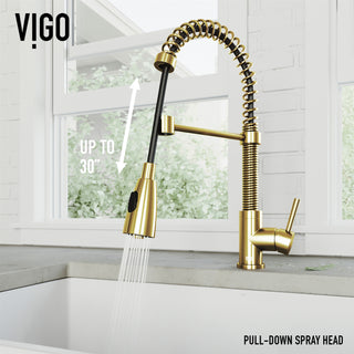 VIGO Brant 19" H Single Handle Pull-Down Sprayer Kitchen Faucet, Matte Brushed Gold, Without Extras