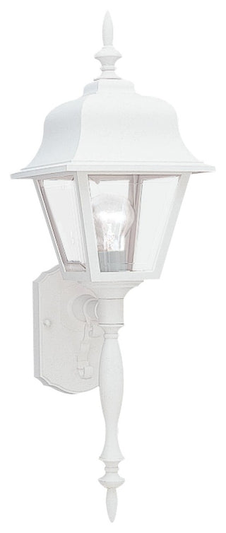 Generation Lighting Lighting 1-Light Outdoor Lantern, White