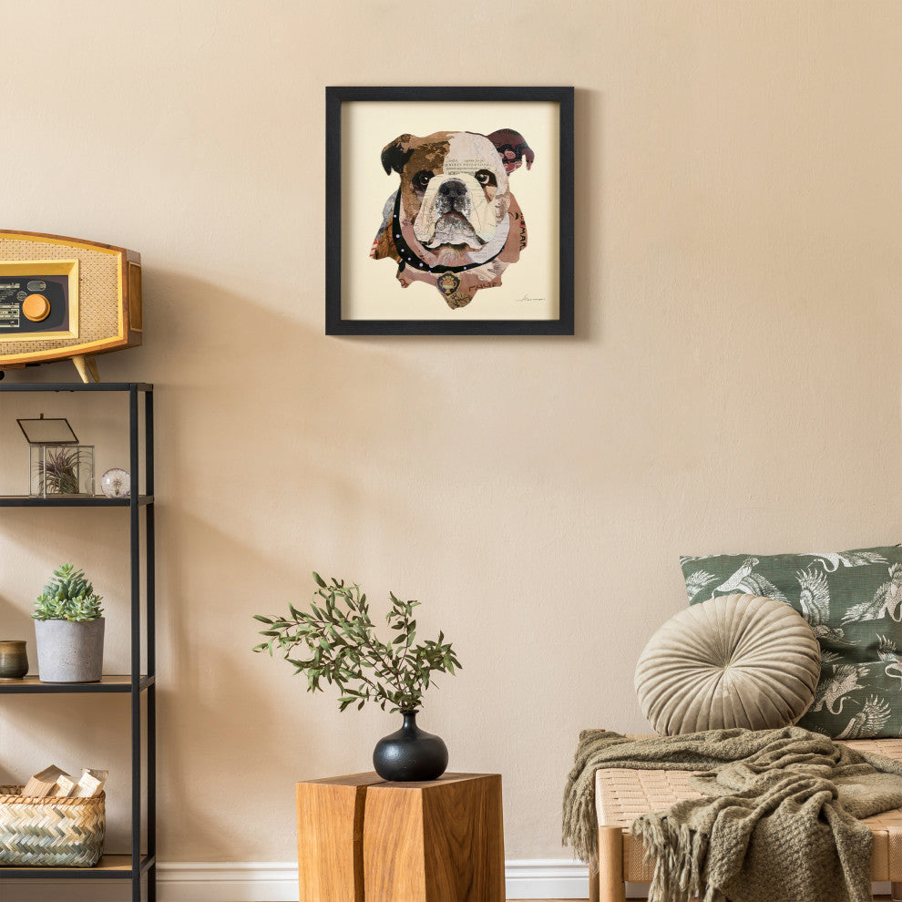 Bulldogs Close Up Dimensional Collage Wall Art Framed Under Glass