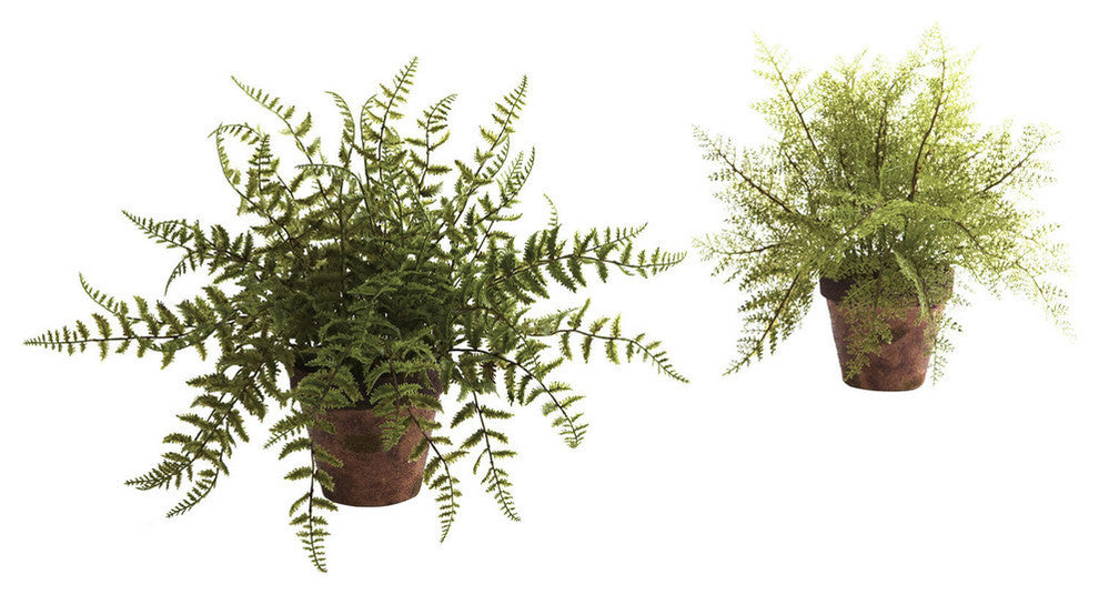 Fern With Decorative Planter, Set of 2