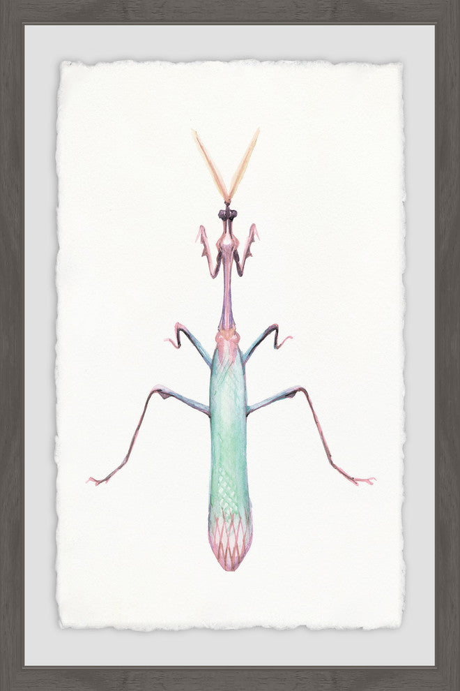 "Pastel Mantis" Framed Painting Print, 24"x36"