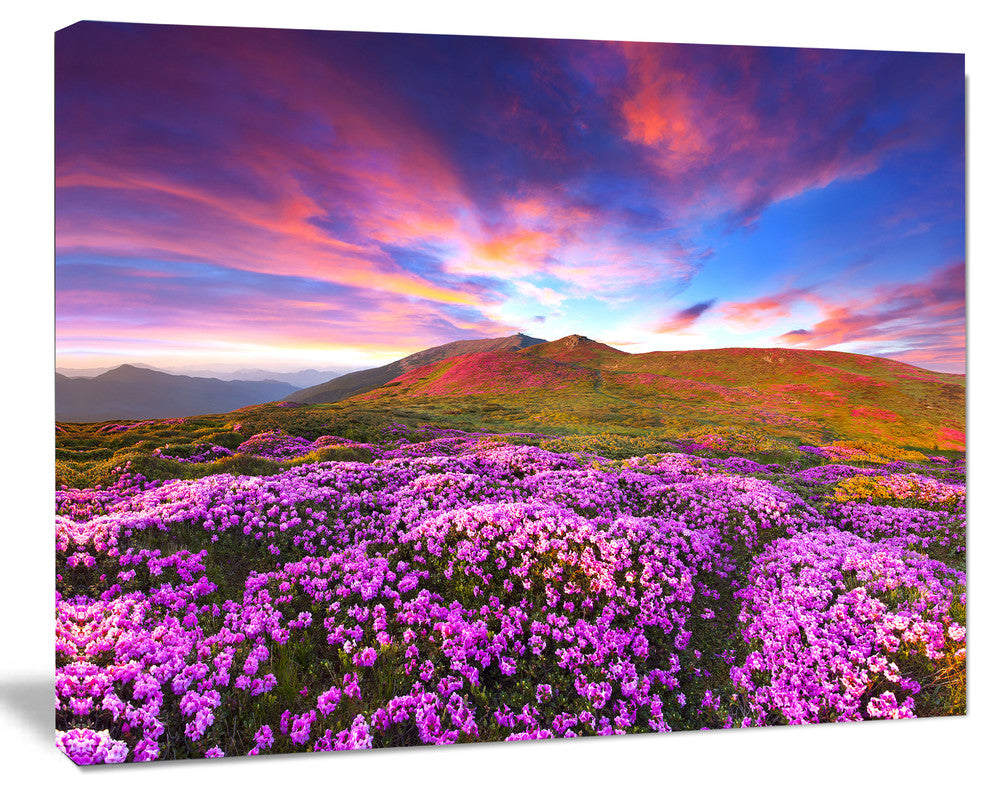 Magic Pink Rhododendron Flowers, Large Landscape Canvas Art Print, 60"x28"