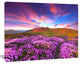 Magic Pink Rhododendron Flowers, Large Landscape Canvas Art Print, 60"x28"