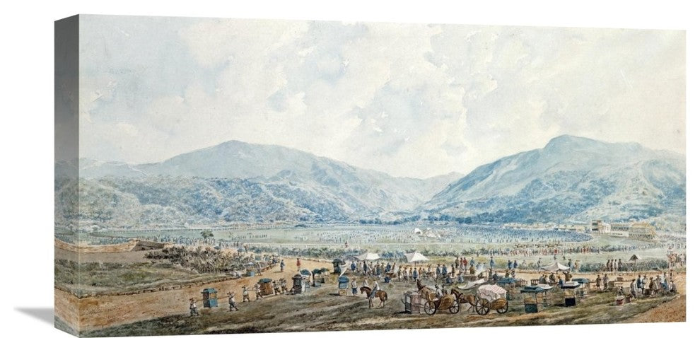 "A View of Happy Valley Race Course, Hong Kong" Artwork, 22" x 11"