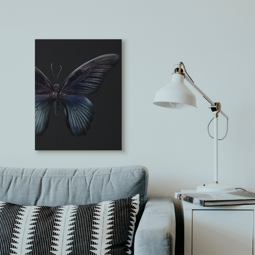 Butterfly Abstract Wings Animal Photograph, 24"x30", Canvas Art