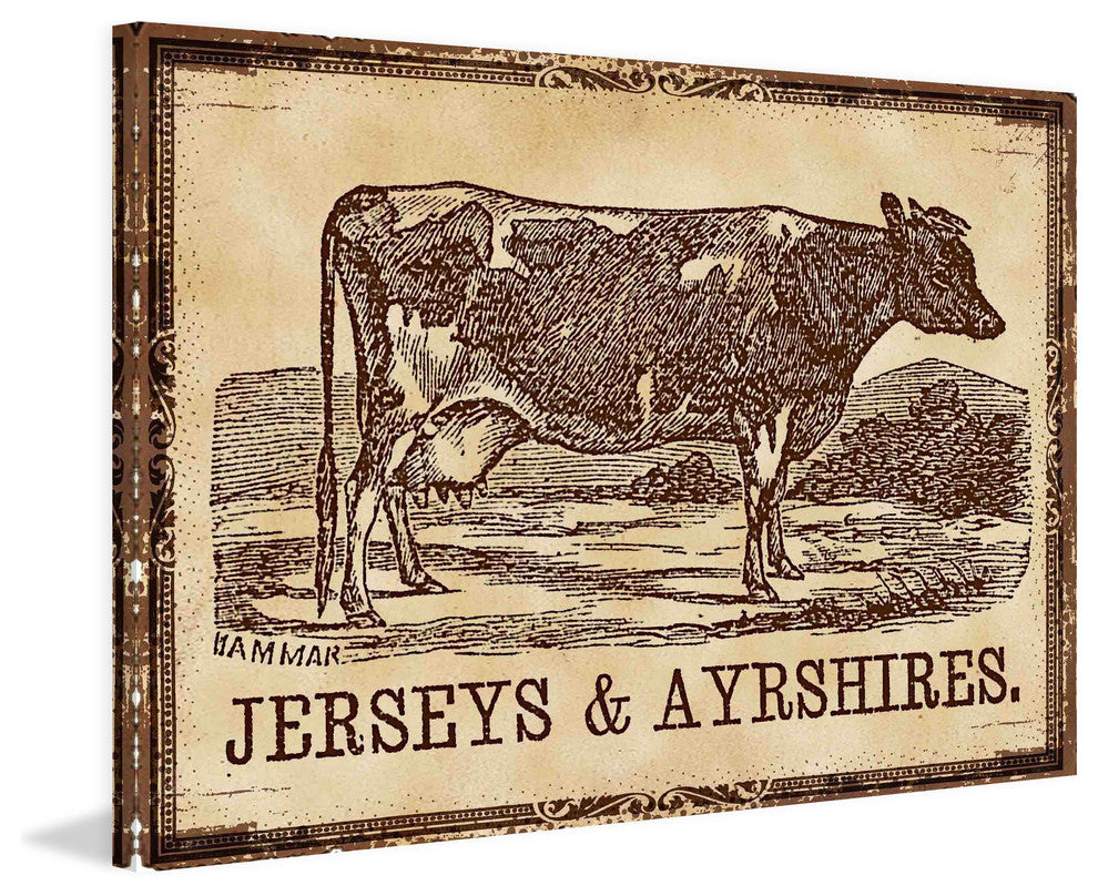 "Cows Jerseys" Painting Print on Canvas
