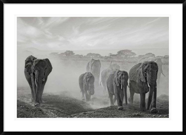 "Sequence Of Emotion" Framed Digital Print by Mathilde Guillemot, 44x32"