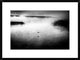 "Untitled" Framed Digital Print by Miki Meir Levi, 30x22"