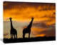 African Wildlife Silhouette, African Canvas Art Print, 40"x30"