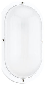 Bayside 1-Light Outdoor Wall Lantern, White