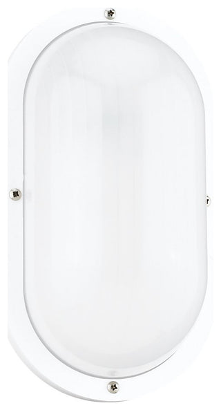 Bayside 1-Light Outdoor Wall Lantern, White