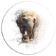 Elephant Portrait, Animal Round Wall Art, 11"