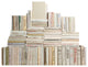 Modern Book Wall Set, Beach, Set of 100