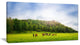 Cows on Field Panorama, Landscape Canvas Art Print, 40x20