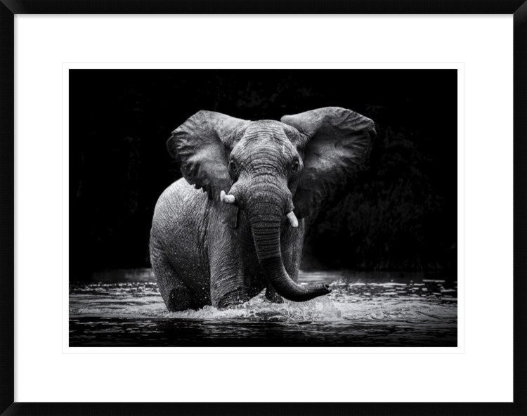 "Power 1" Framed Digital Print by Gorazd Golob, 30x23"