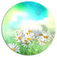 Chamomiles On Abstract Background, Floral Disc Metal Wall Art, 36"