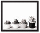 Black and White Succulents 16x20 Black Framed Canvas