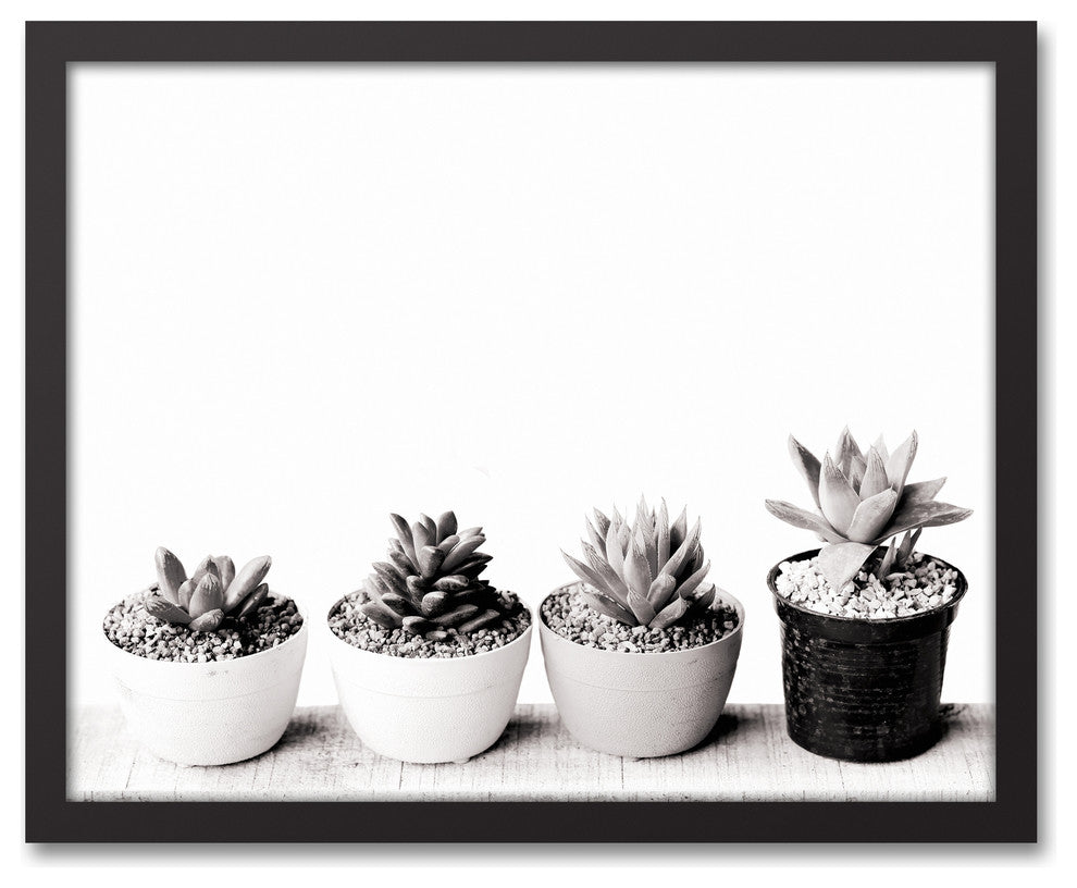Black and White Succulents 16x20 Black Framed Canvas
