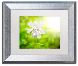 PIPA Fine Art 'Beauty of the Forest Floor' Matted Framed Art, 14x11