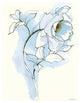 "Carols Roses III Blue" Digital Paper Print by Shirley Novak, 22"x26"