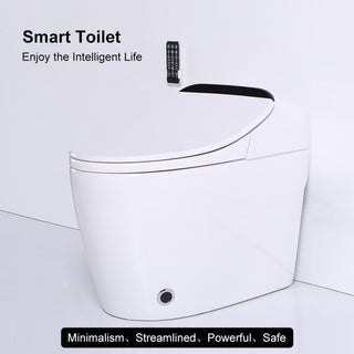Smart One-Piece 1.27 GPF Floor Mounted Elongated Toilet and Bidet with Seat, Gold