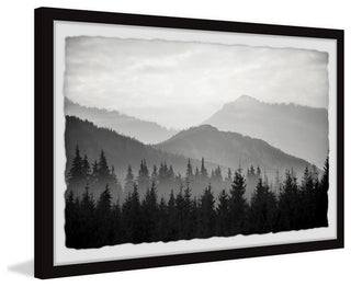 "Pinetree Forest" Framed Painting Print, 18x12