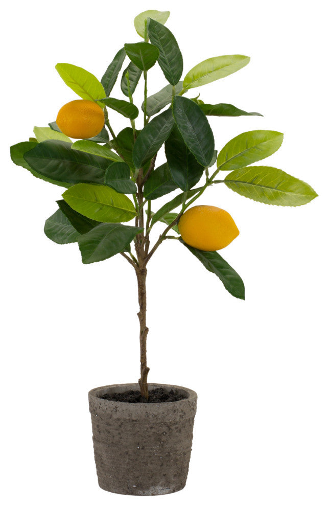 Potted Lemon Tree, 2-Piece Set
