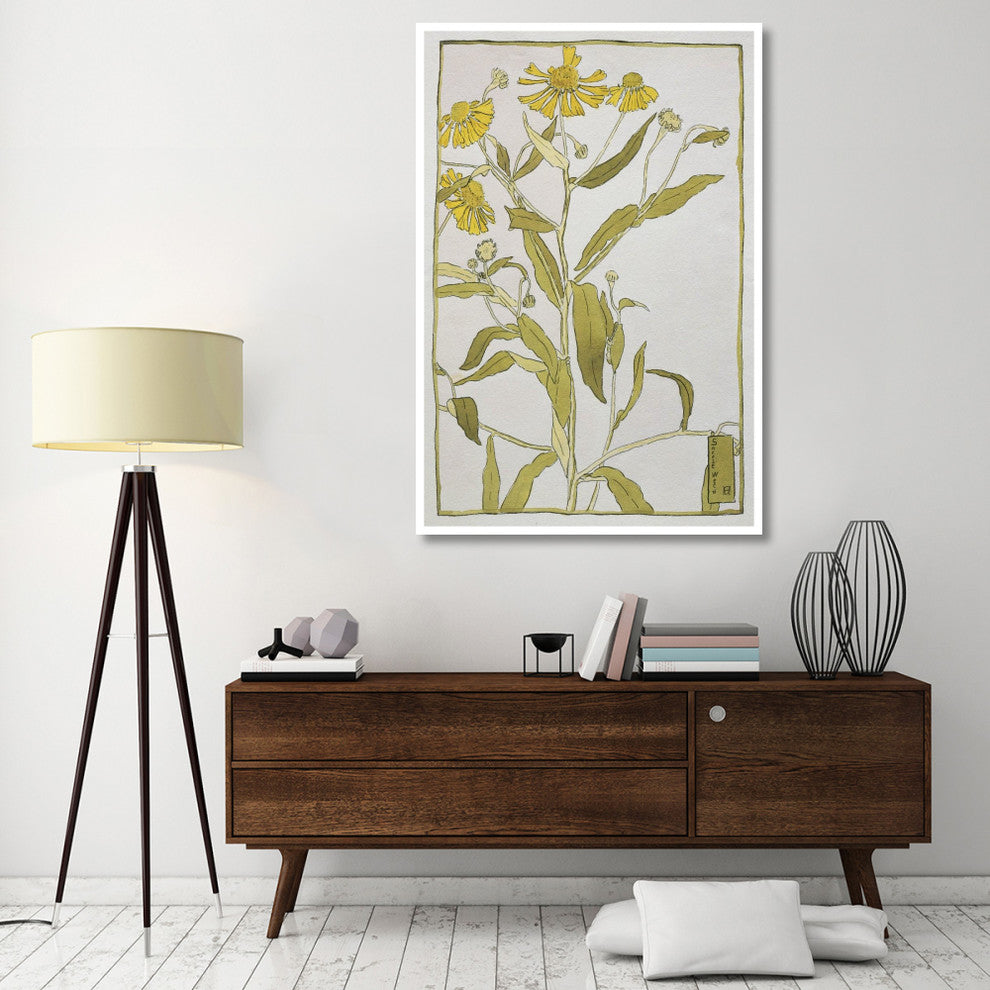 "Sneeze Weed" Digital Paper Print by Hannah Borger Overbeck, 42"x62"