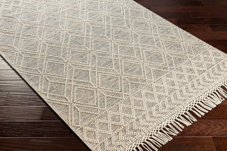 Surya Hemingway HMG-2300 Hand Woven Wool and Polyester Area Rug