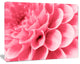 Pink Abstract Flower Petals, Floral Canvas Art Print, 20"x12"