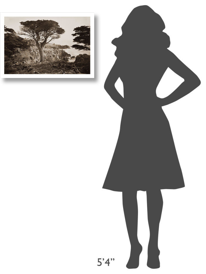 "Cypress Point, Monterey, California, about 1880s" Paper Art, 24"x17"