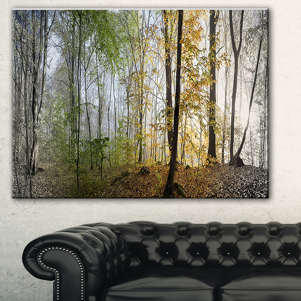 "Morning Forest Panoramic View" Canvas Print