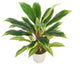 25" Potted Artificial Green and Red Dracaena Plant in a Cream White Pot