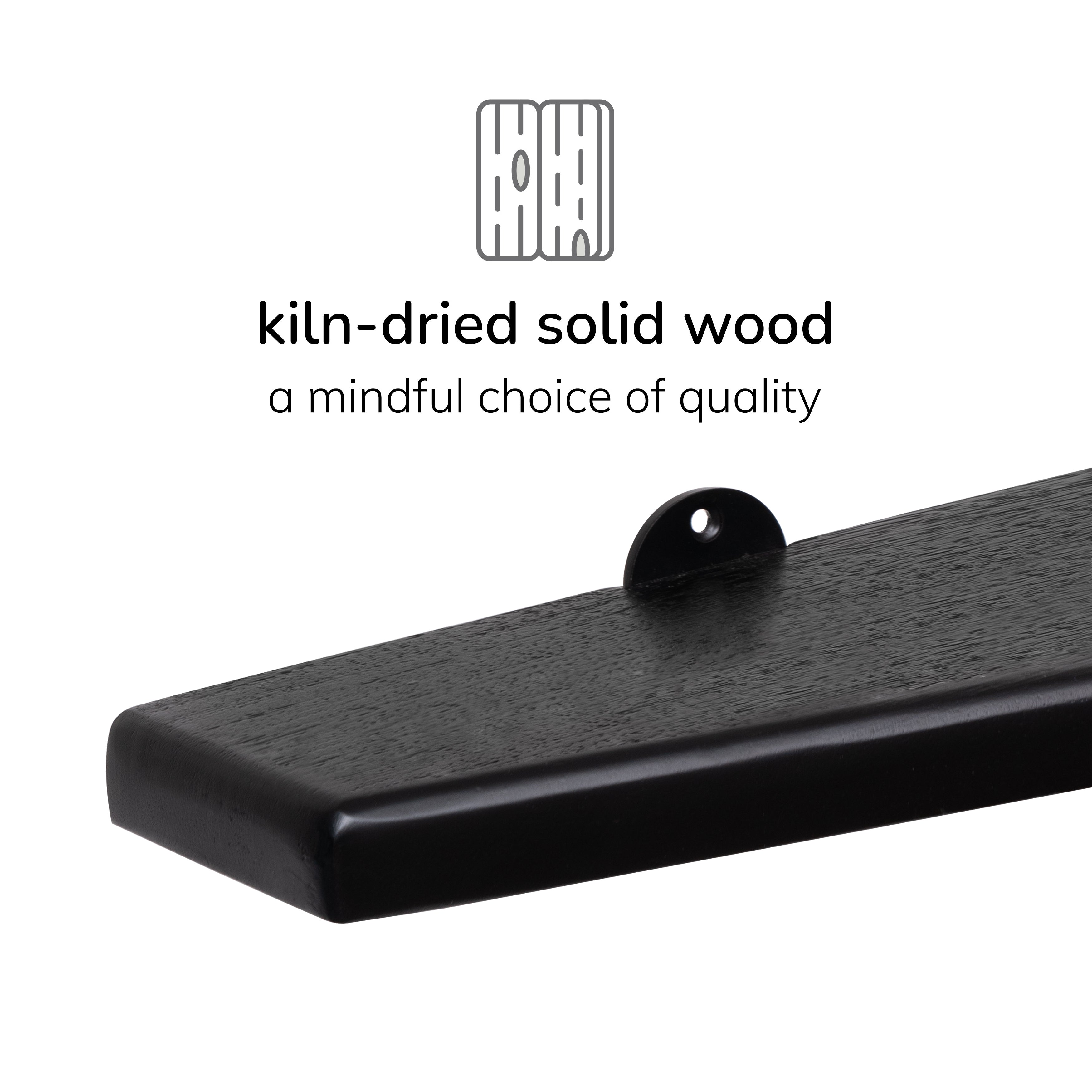 Lonny Wall Mounted Shelves, Black