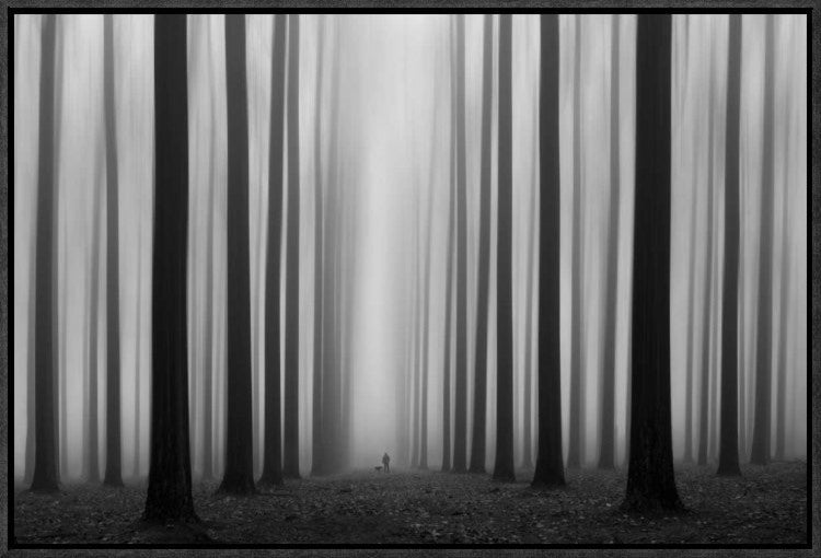 "Labyrinth" Framed Canvas Giclee by Jochen Bongaerts, 23x16"