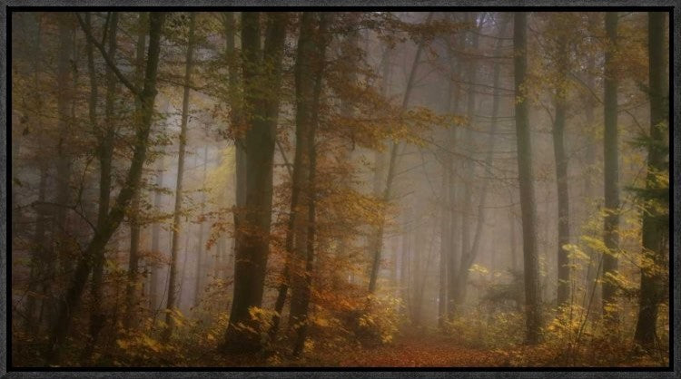 "My November" Framed Canvas Giclee by Norbert Maier, 23x13"