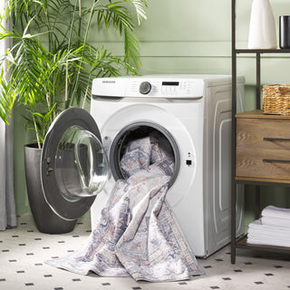 Safavieh Arizona Machine-Washable Collection ARZ137 Rug, Grey/Light Grey, 4'x6'