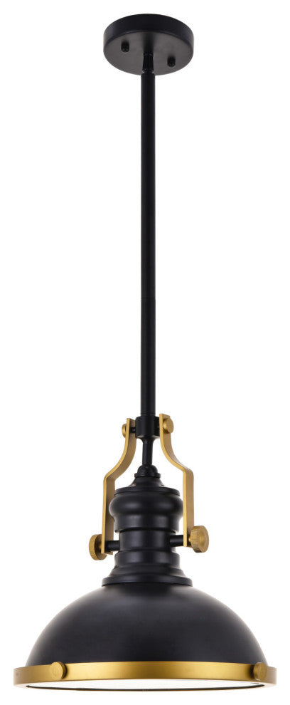 Elegant Lighting LD5001D13 Eamon 13"W Pendant - Matte Black