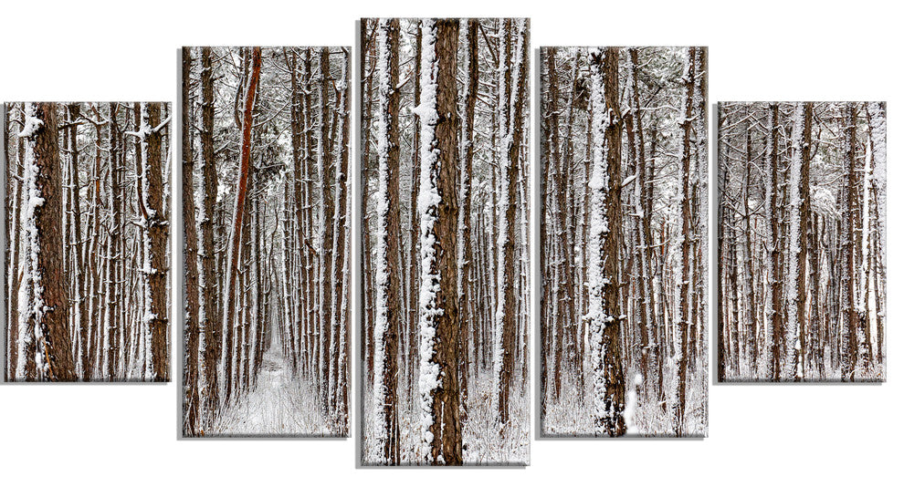 Dense Pine Forest in Winter, Landscape Canvas Art Print, 60"x32", 5 Panels