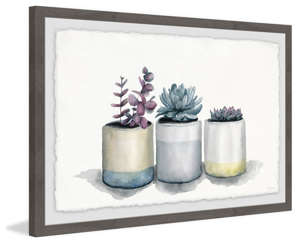"Three Potted Succulents" Framed Painting Print