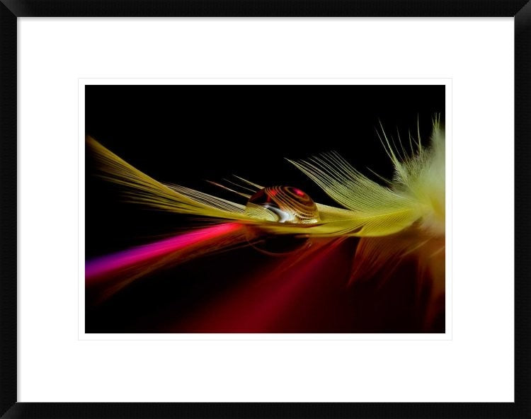 "Colors In The Drop" Framed Digital Print by Aida Ianeva, 24"x19"