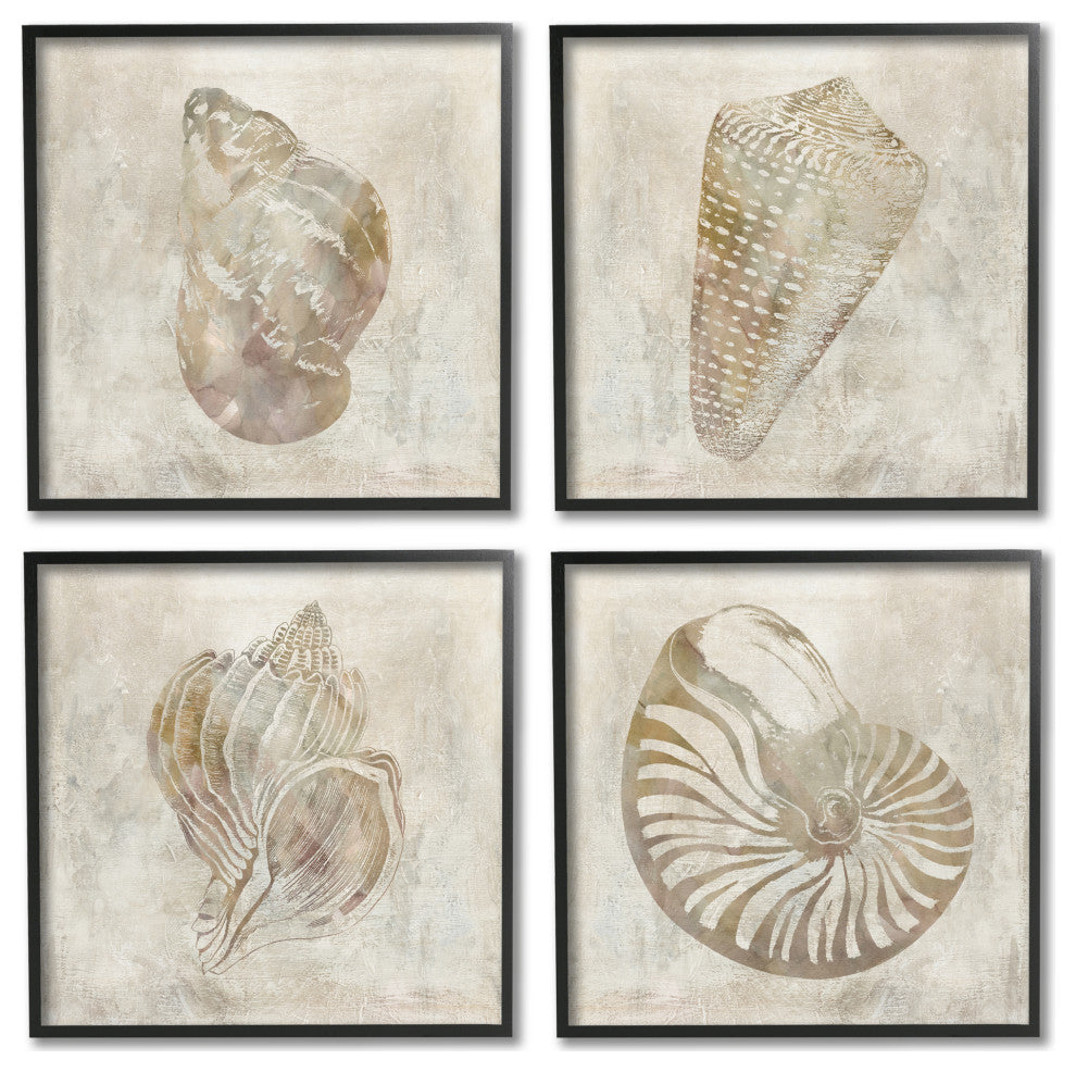 Vintage Nautilus Seashells Soft Brown Patterned Aquatic Animals,17 x 17
