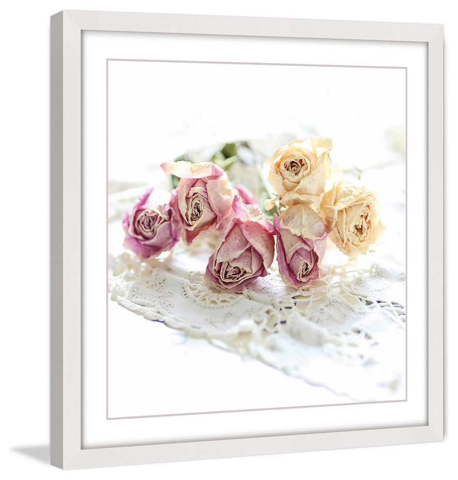 Marmont Hill, "Faded Roses" by Sylvia Cook Framed Painting Print, 12x12